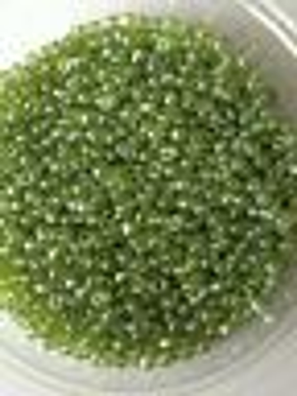 Lime Green Transparent Lustered 8/0 seed beads