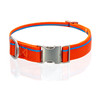 Tangerine Orange Collar