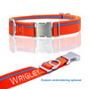 Tangerine Orange Collar