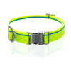 Highlighter Yellow Collar