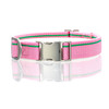 Nantucket Pink Collar