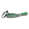 Silver Sage Leash