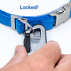 Bermuda Blue Leash