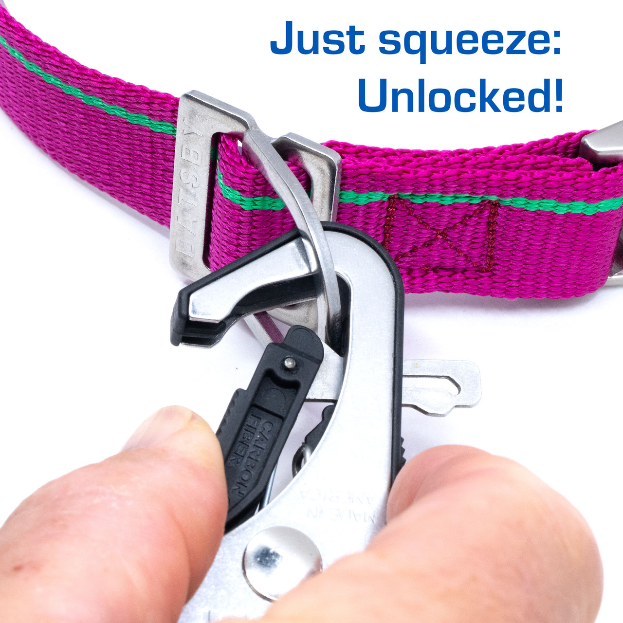 Heritage Raspberry Leash