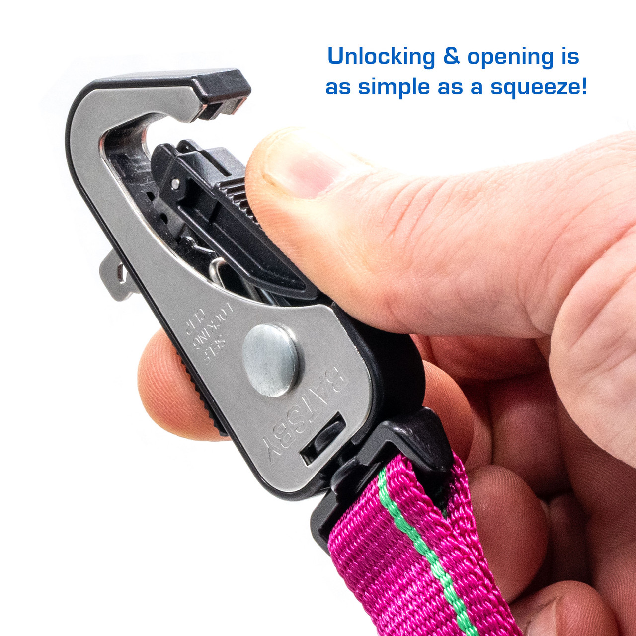 Heritage Raspberry Leash