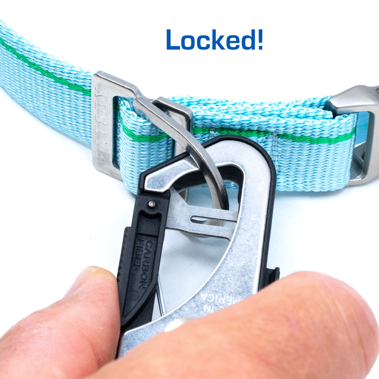 Narragansett Blue Leash