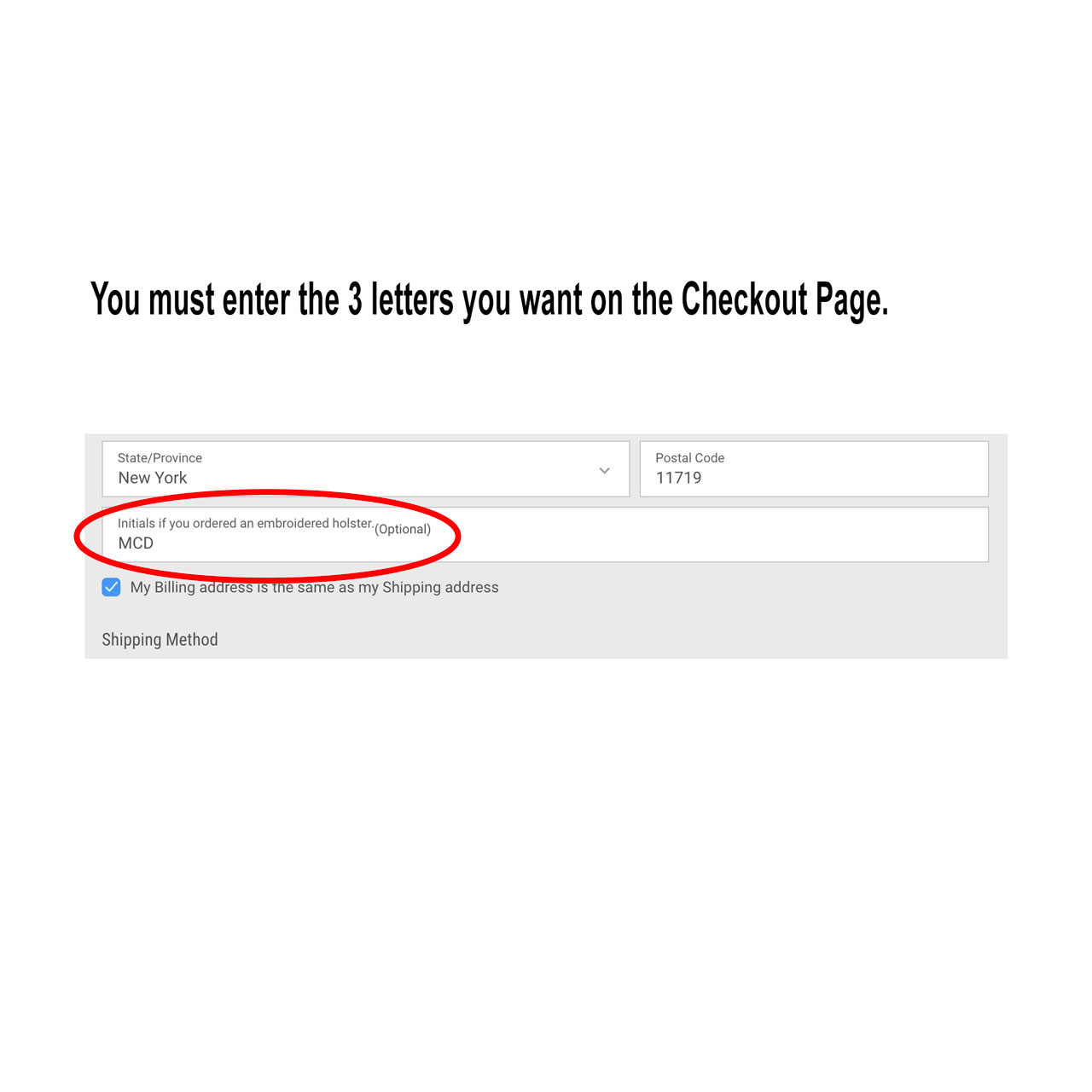 Beretta 80X Custom Monogrammed Tactical Holster