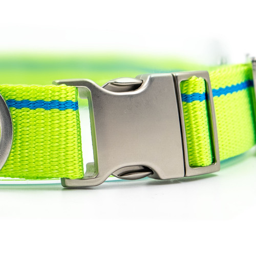 Highlighter Yellow Collar