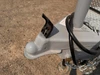 Trails West Trailers 2027 ADVENTURE MX Horse Trailer | Tandem Axle Axle