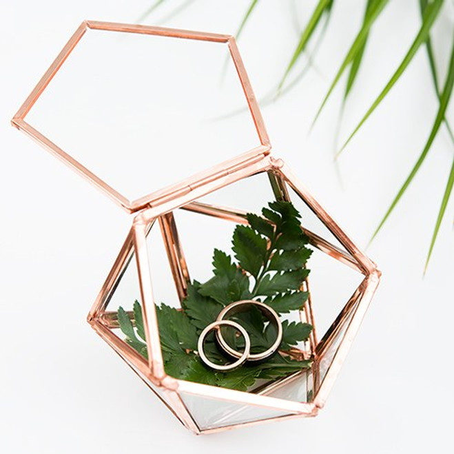 terrarium ring box