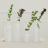 Glass Bottle Vases Set in White - Reception Centerpieces