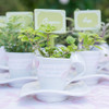 Cup & Saucer Favor Containers in White - Modern Style