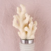 Coral Bottle Stopper Favors - Beach Wedding