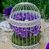 Round Decorative Birdcage in Ivory