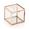 Glass Jewelry Box with Rose Gold - Modern Serif 