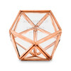 Geometric Terrarium Ring Box in Copper - Personalized Classic