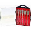DO IT BEST 6-Piece Spade Bit Set in Case 307440