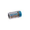 Spyder 600901 Tarantula 1-1/2" Carbide-Tipped Non-Arbored Hole Saw