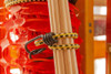 Keeper - 13” Vinyl Coated Bungee Cord - UV and Weather-Resistant (06014)