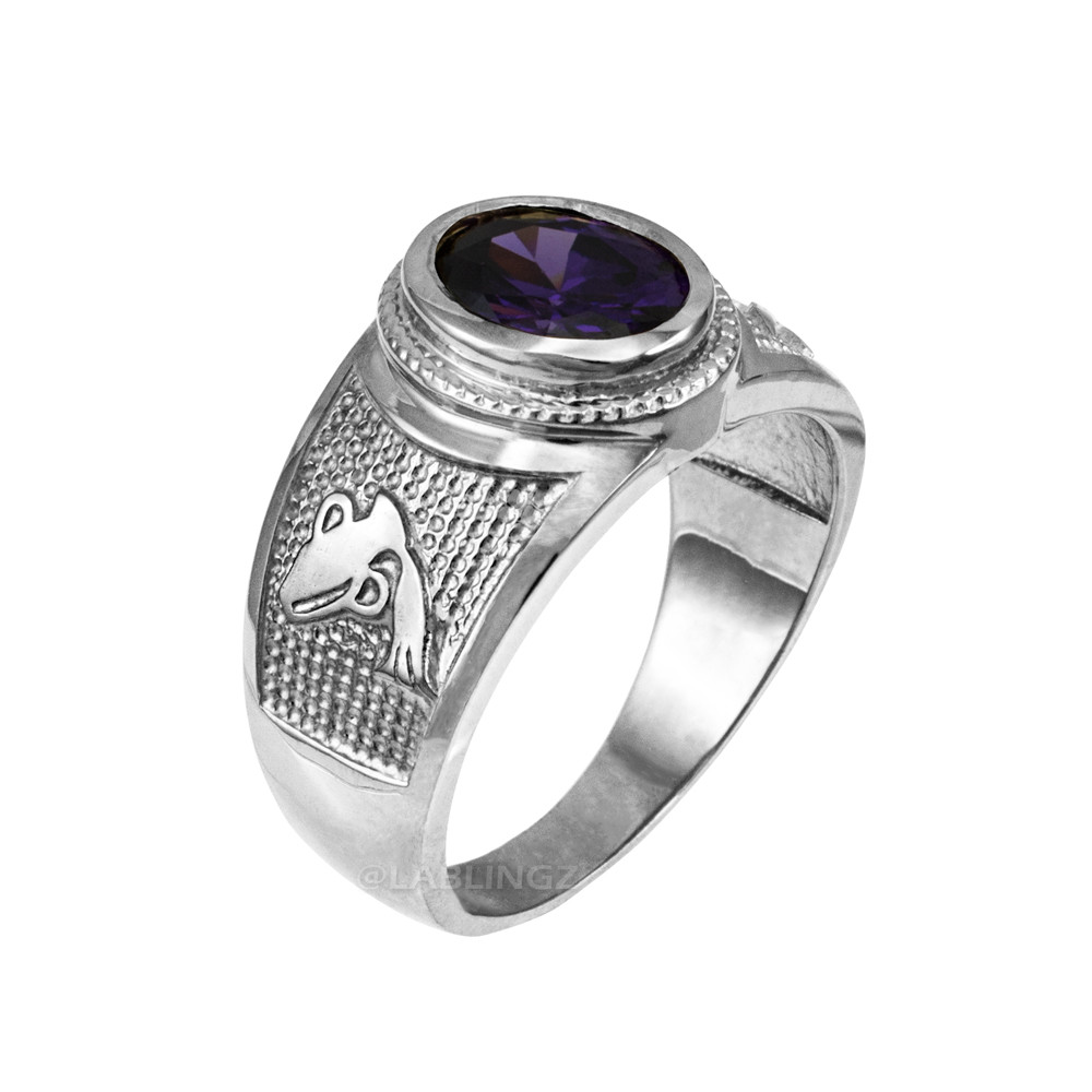 Sterling Silver Aquarius Zodiac Sign February Birthstone Purple CZ