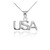 White Gold USA Pendant Necklace