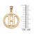 Yellow Gold "H" Initial in Rope Circle Pendant Necklace