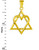 Yellow Gold Star of David Heart Large Pendant (1.4")