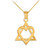 Yellow Gold Star of David Heart Medium Pendant (1.1")