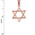 Rose Gold Jewish Star of David DC Charm Necklace