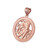 Rose Gold Zodiac Open Medallion Satin DC Pendant Necklace