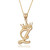Letter Z Necklace in yellow gold