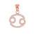 14K Rose Gold Cancer Zodiac Sign Diamond Pendant Necklace