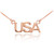 14K Rose Gold USA Necklace