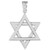 925 Sterling Silver Polished Star of David Pendant Necklace