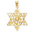 Gold Star of David with Twelve Tribes of Israel Pendant