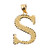 Initial S Gold Charm Pendant
