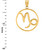 Polished Gold Capricorn Zodiac Sign Round Pendant Necklace