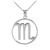 Silver Scorpio Zodiac Sign Round Necklace