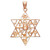 Rose Gold Star of David with Twelve Tribes of Israel Pendant