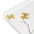 Butterfly Ginkgo Bath Collection - Vanity Tray New