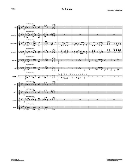 Flip Side, The (PDF)