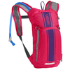 Camelbak Kids' Mini M.U.L.E. 50 oz Hydration Pack