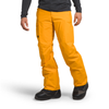 The North Face Men's Freedom Pant