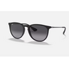 Ray-Ban Erika - Black Frame