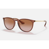 Ray-Ban Erika - Transparent Light Brown Frame
