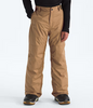 The North Face Boys' Freedom Insulated Pant