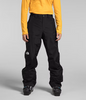 The North Face Men's GTX Dawnstrike Pant