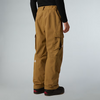 The North Face Men's Blizzardery Cargo Pant