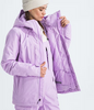 The North Face Women's Freedom Insulated Jacket