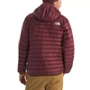 The North Face Men's Terra Peak Hoodie - 2026 - Sumac